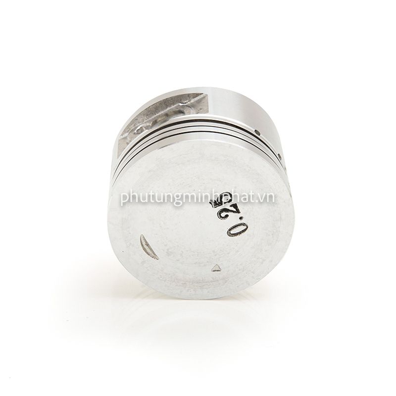 Piston Ippon Taurus