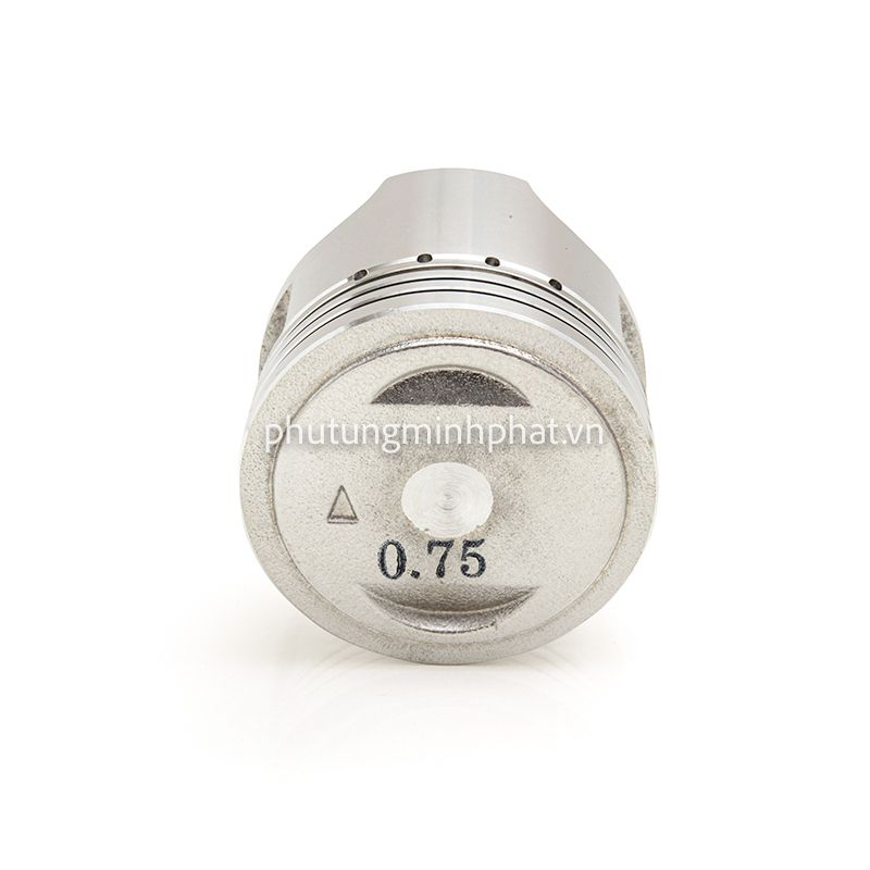 Piston Ippon Viva