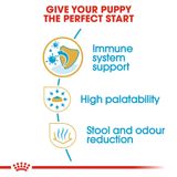  Thức Ăn Hạt Cho Chó Royal Canin Chihuahua Puppy - Chó giống Chihuahua dưới 12 tháng 