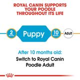  Thức Ăn Hạt Cho Chó Royal Canin Poodle Puppy - Chó giống Poodle dưới 12 tháng 