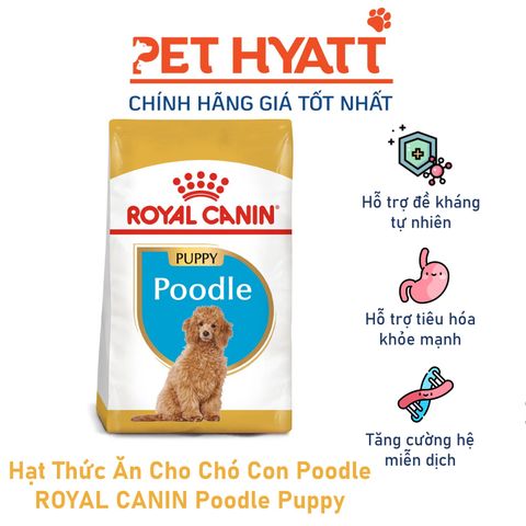  Hạt Thức Ăn Cho Chó Con Poodle ROYAL CANIN Poodle Puppy 