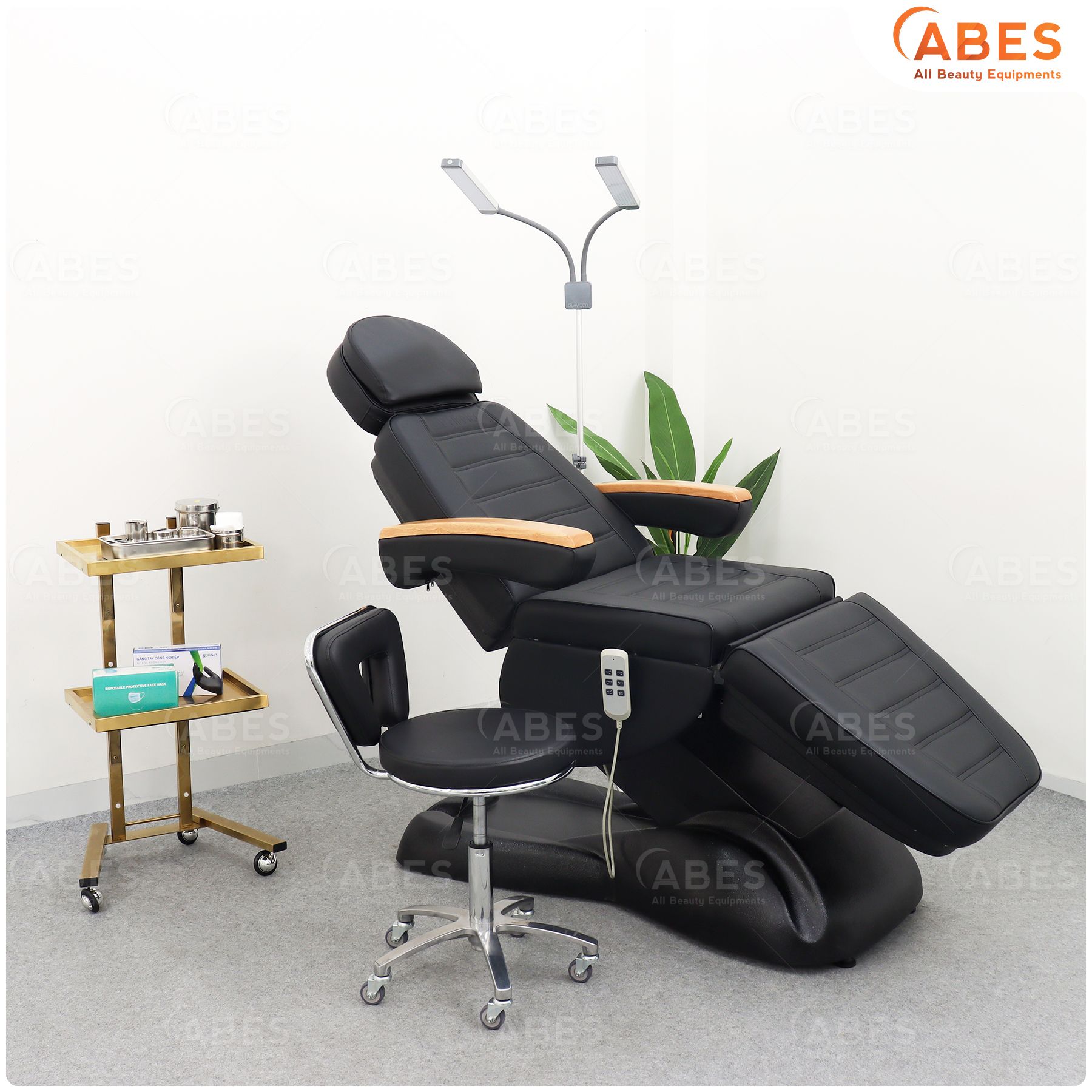 Giường spa chỉnh điện tay gỗ Hi-MEC HMBB-C810