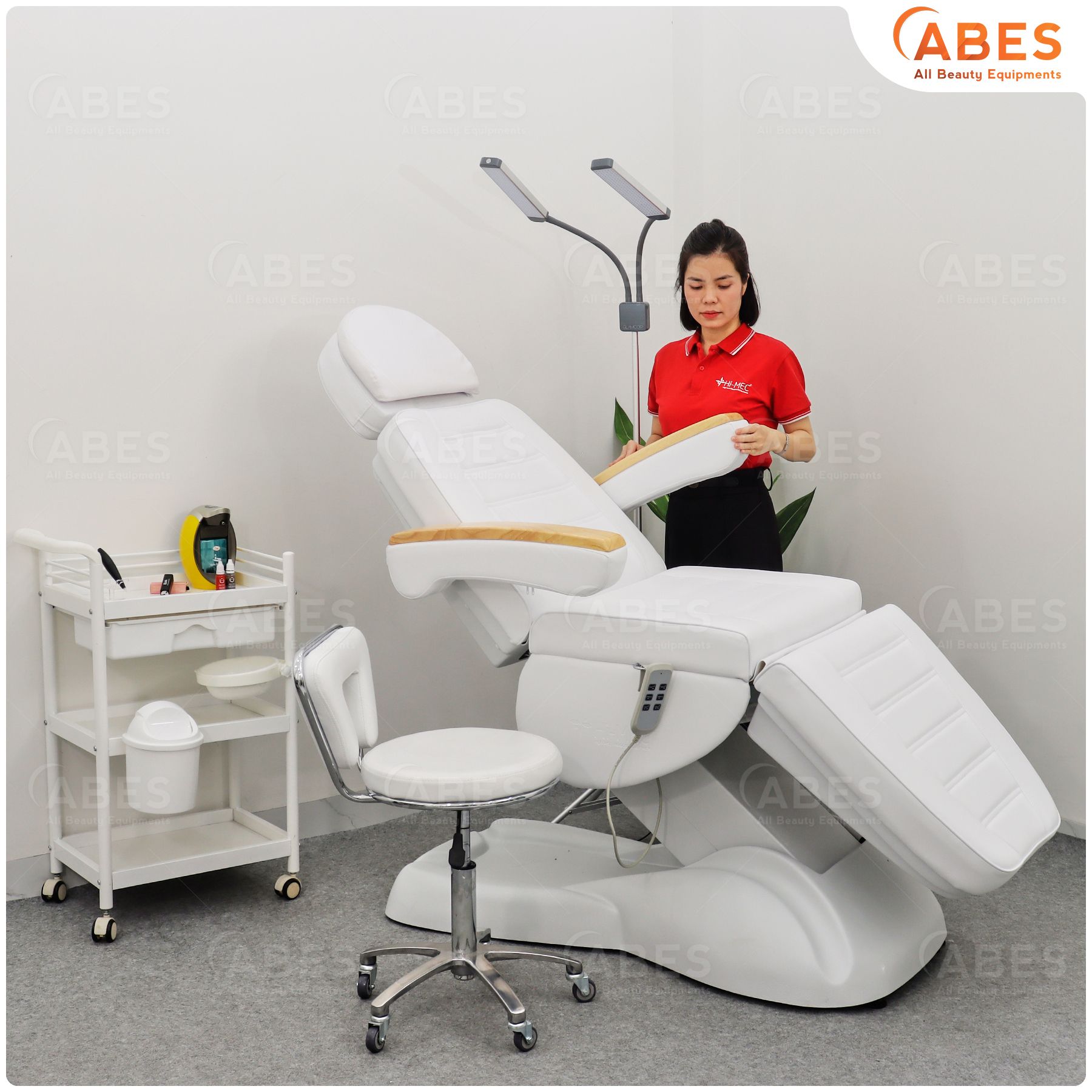Giường spa chỉnh điện tay gỗ Hi-MEC HMBB-C810