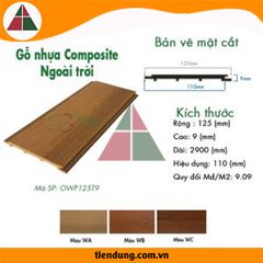 Gỗ Nhựa Composite Ngoại Thất OWP125T9