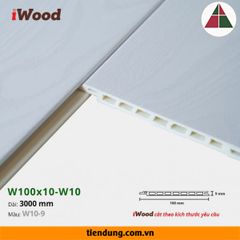 Tấm ốp phẳng hèm V (W100x10-W10-9)