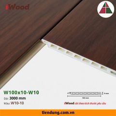 Tấm ốp phẳng hèm V (W100x10-W10-10)