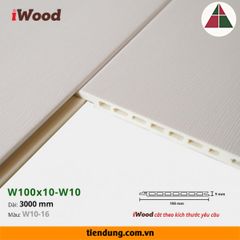 Tấm ốp phẳng hèm V (W100x10-W10-16)