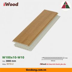 Tấm ốp phẳng hèm V (W100x10-W10-2)