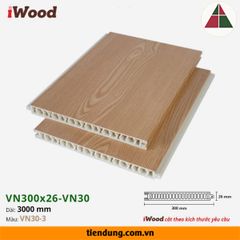 Tấm vách ngăn VN300 (VN300x26-VN30-3)