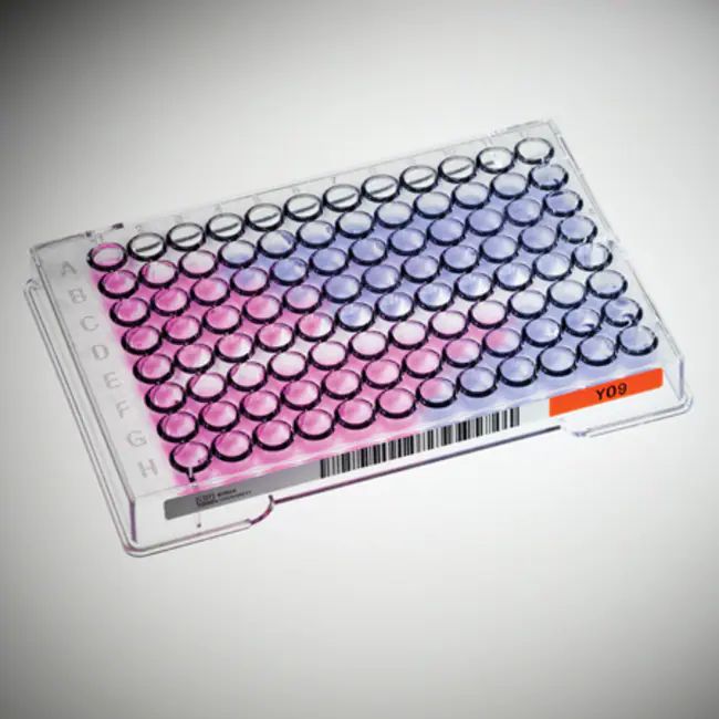 ITAMYUCC AST Plate