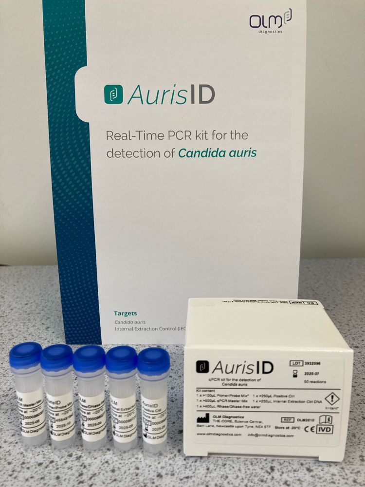 Real-Time PCR phát hiện Candida auris