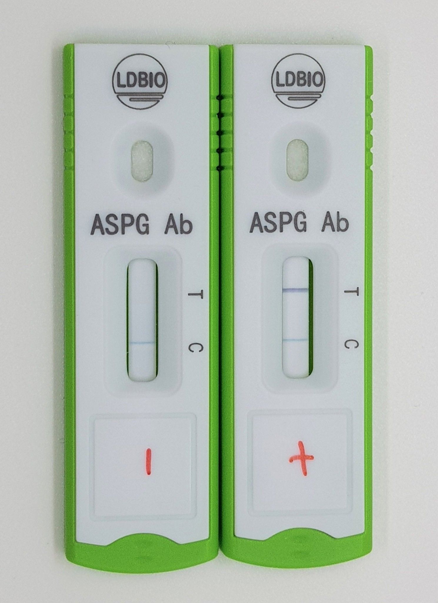 ASPERGILLUS ICT IgG-IgM