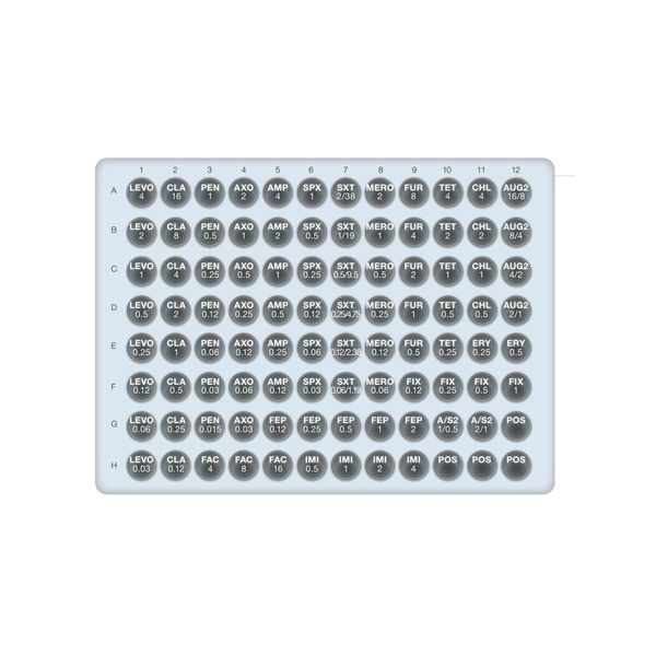  Khay kháng sinh đồ cho Haemophillus influenzae và Streptoccus pneumoniae 