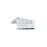 Khay kháng sinh đồ cho vi khuẩn gram dương GPALL1F
