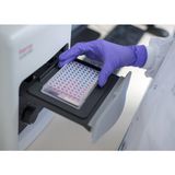 Khay kháng sinh đồ cho liên cầu khuẩn Streptococcus spp