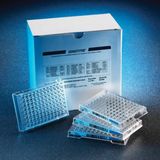 Khay kháng sinh đồ cho vi khuẩn Gram âm (có colistin)