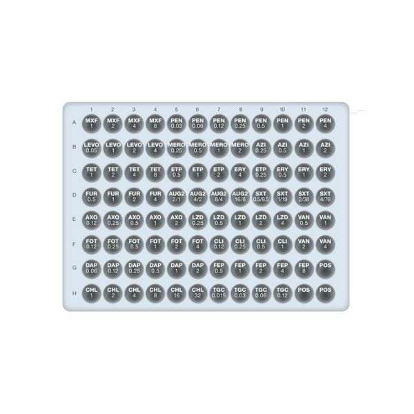  Khay kháng sinh đồ cho liên cầu khuẩn Streptococcus spp 