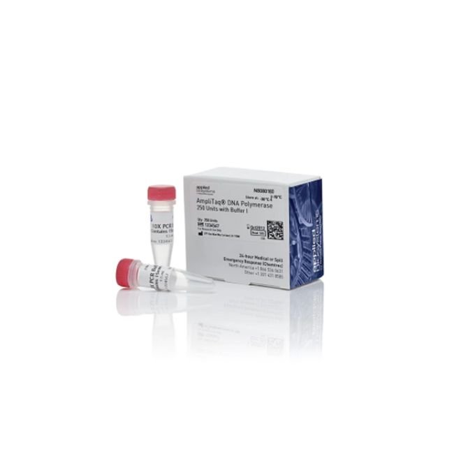  AmpliTaq ™ DNA Polymerase với Buffer I 