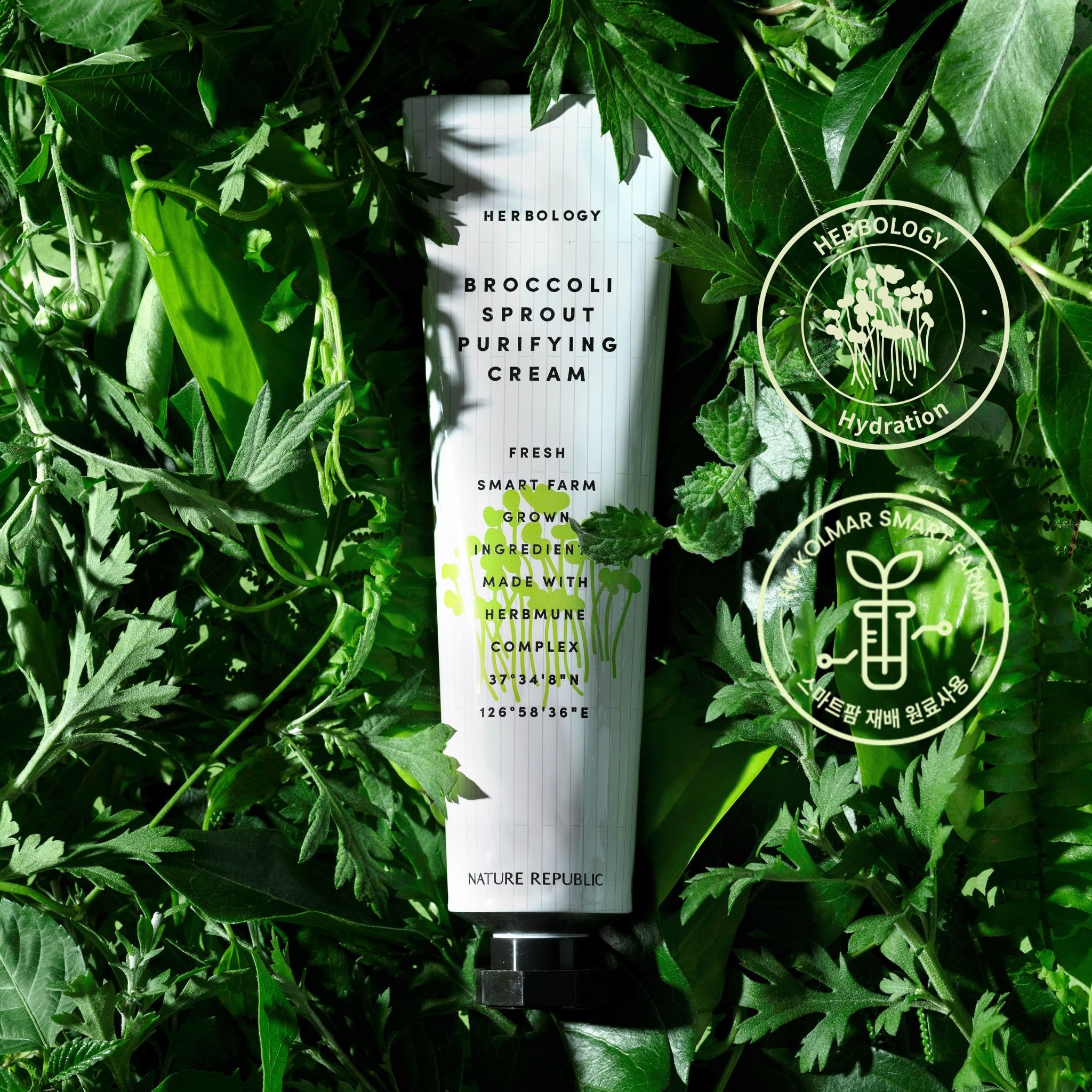 Kem dưỡng Nature Republic Herbology Broccoli Sprout Purifying Cream 70ml (date tháng 10.2025)