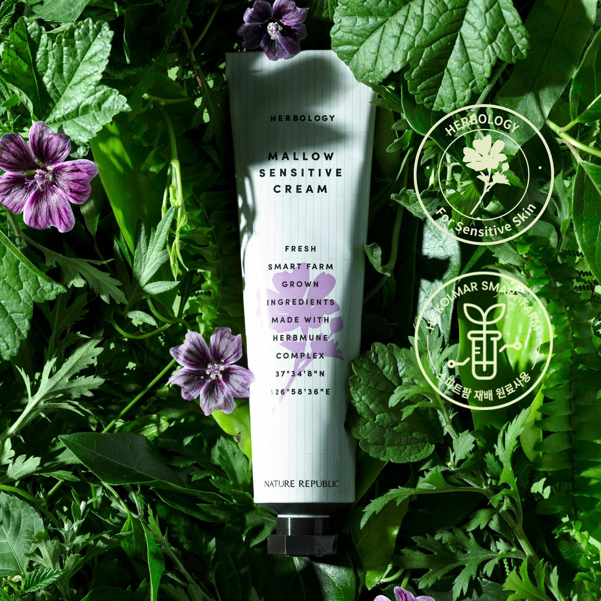 Kem dưỡng Nature Republic Herbology Mallow Sensitive Cream 70ml(date tháng 10.2025)