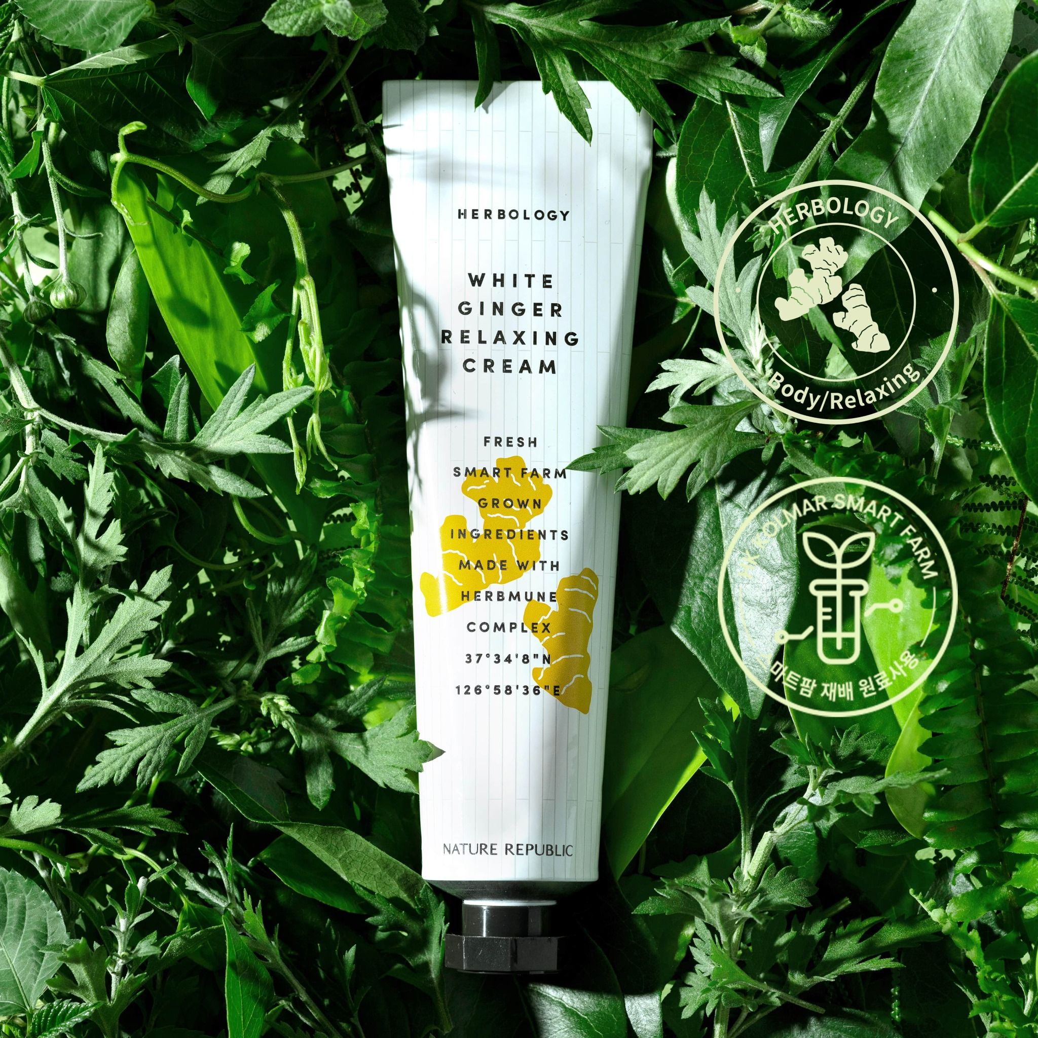 Kem dưỡng BODY Nature Republic Herbology White Ginger Relaxing Cream 70ml (date tháng 10.2025)