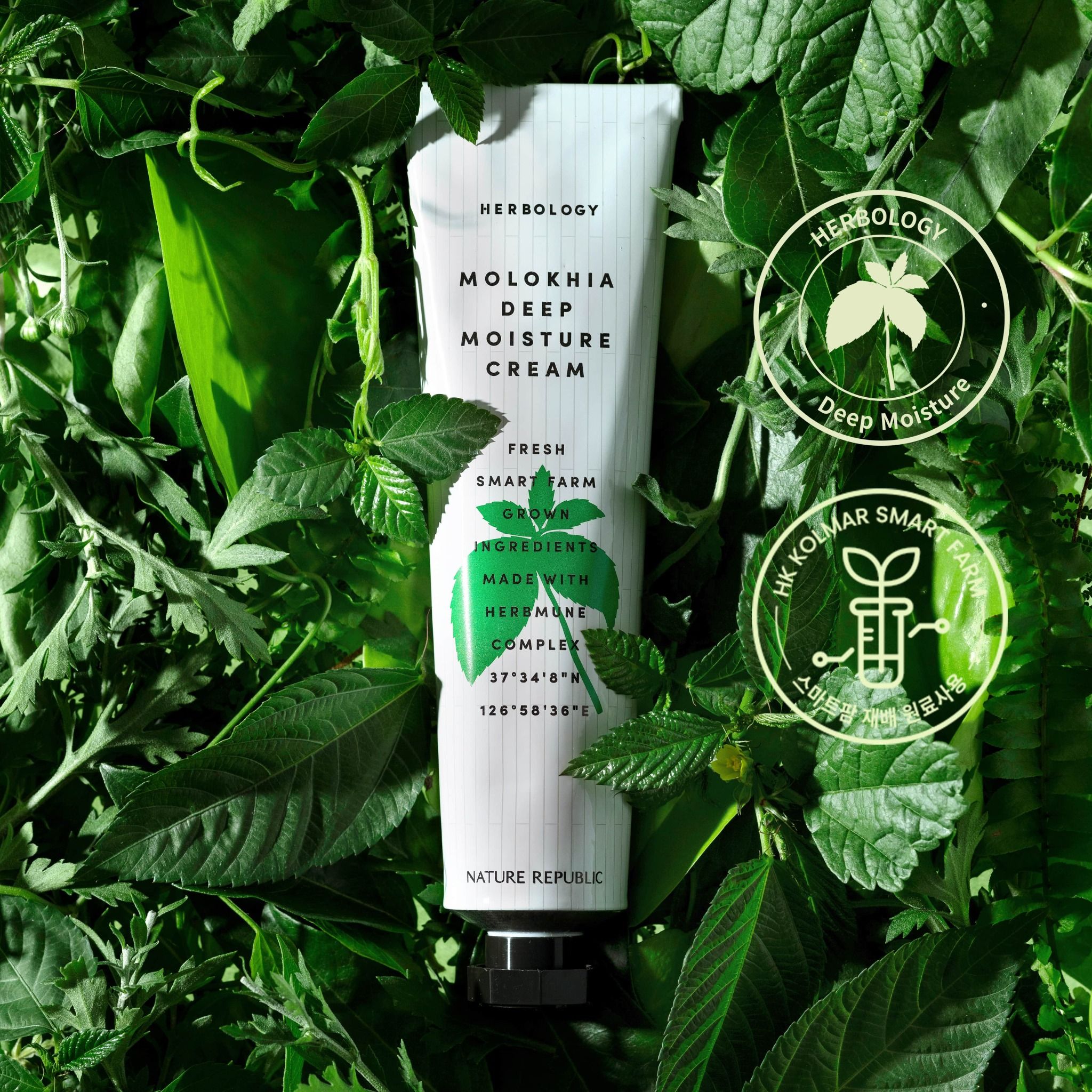 Kem dưỡng Nature Republic Herbology Molokhia Deep Moisture Cream 70ml(date tháng 10.2025)