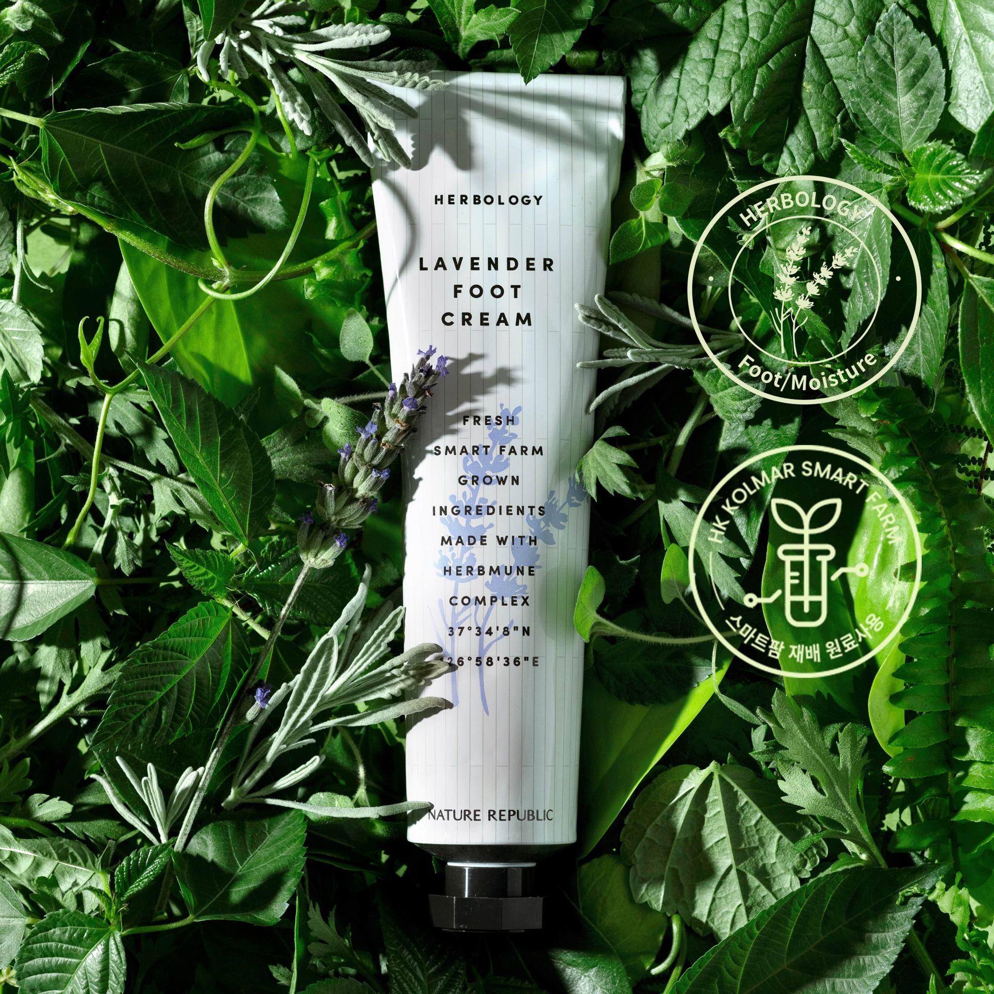 Kem dưỡng da chân Nature Republic Herbology Lavender Foot Cream 70ml (Date tháng 10.2025)