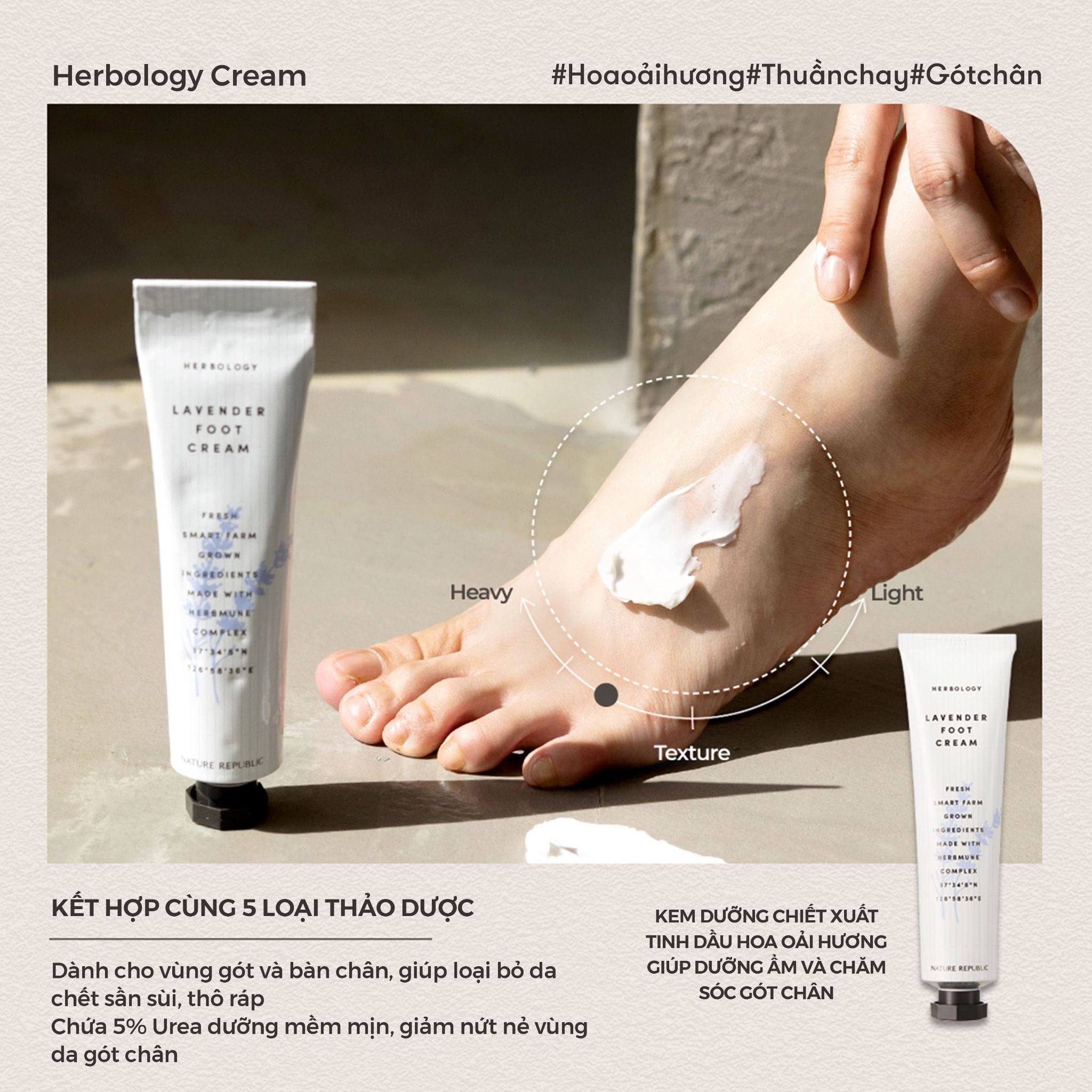 Kem dưỡng da chân Nature Republic Herbology Lavender Foot Cream 70ml (Date tháng 10.2025)