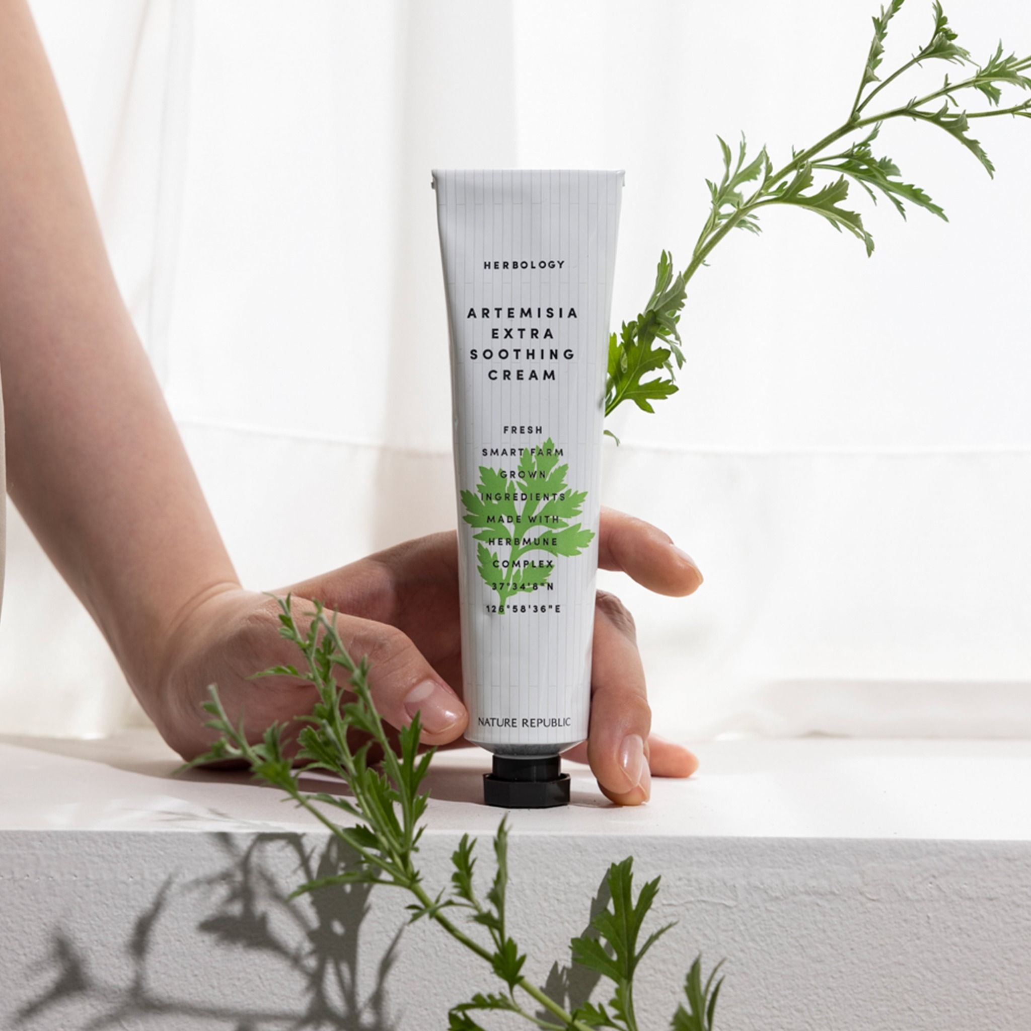 Kem dưỡng Nature Republic Herbology Artemisia Extra Soothing Cream 70ml(date tháng 10.2025)
