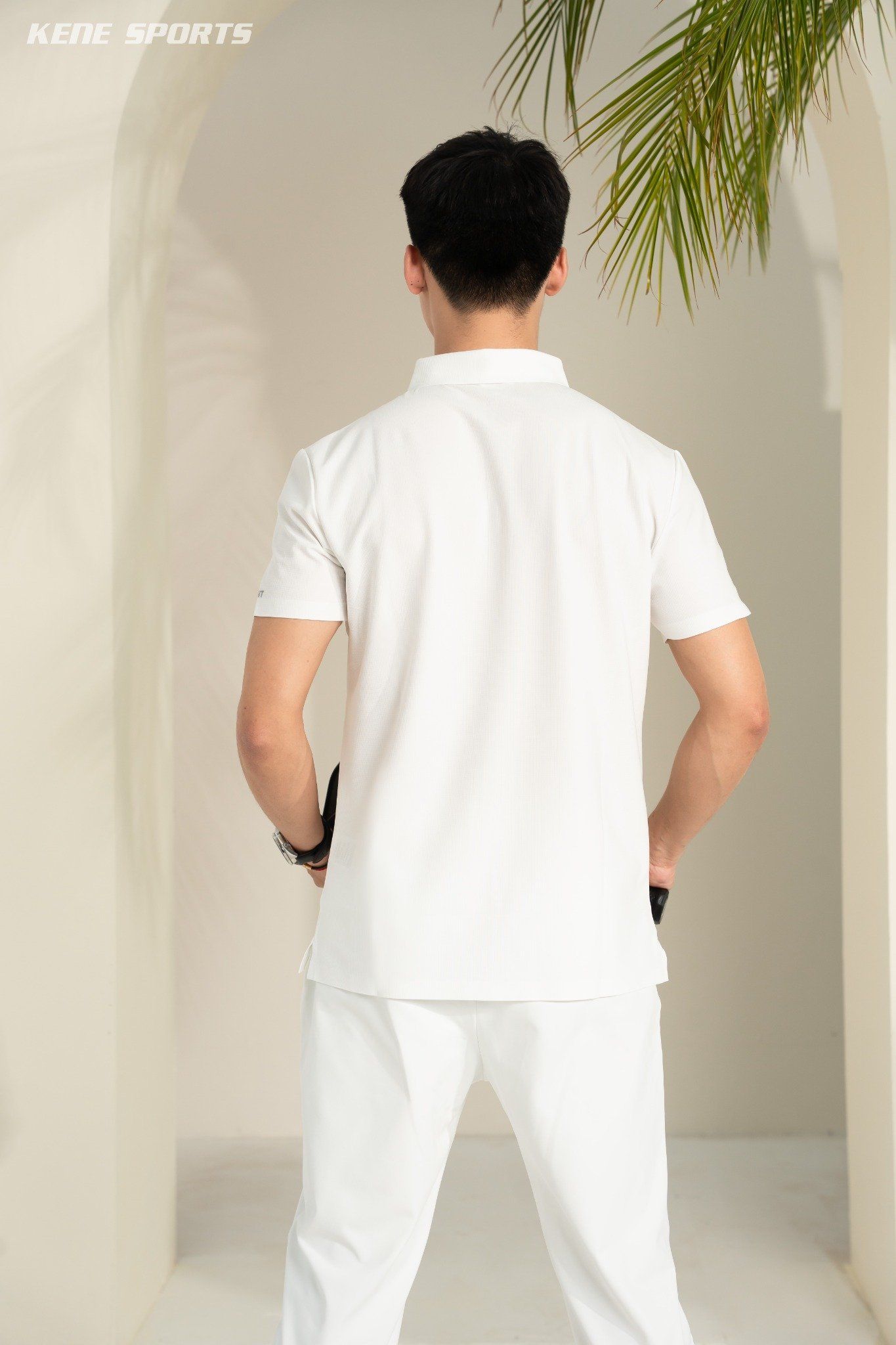 Áo polo - cổ ép trơn 250423