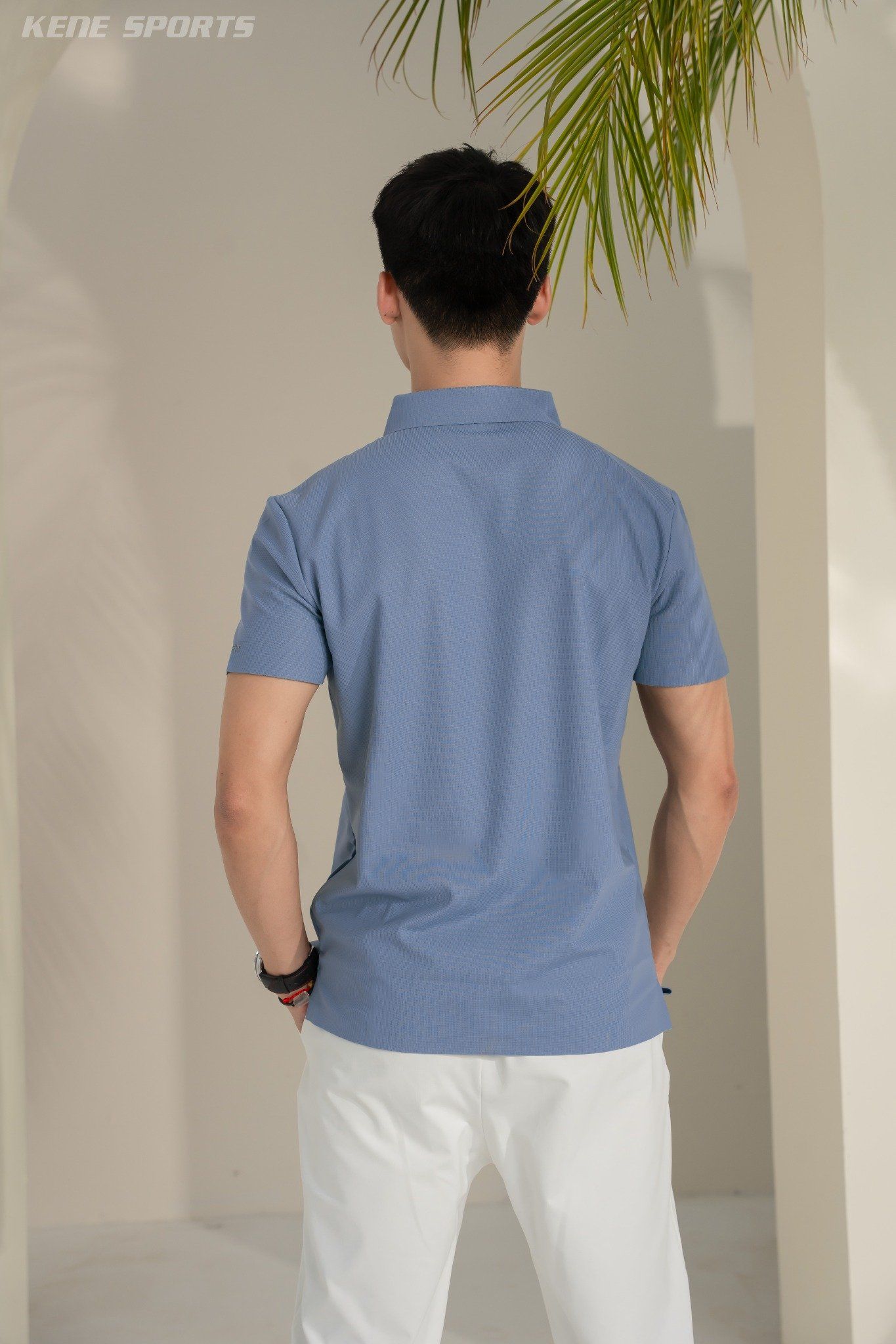 Áo polo - cổ ép trơn 250423