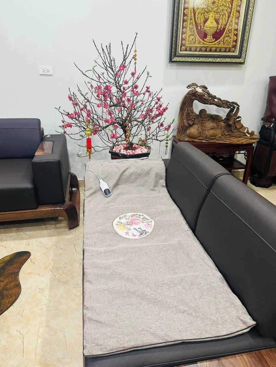 Thảm ngải cứu