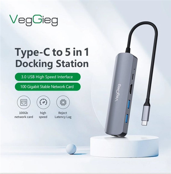 Bộ chuyển đổi 5 in 1 USB type C sang HDMI, RJ45, USB 3.0, USB -C PD (5 in 1) VegGieg V-TC05R