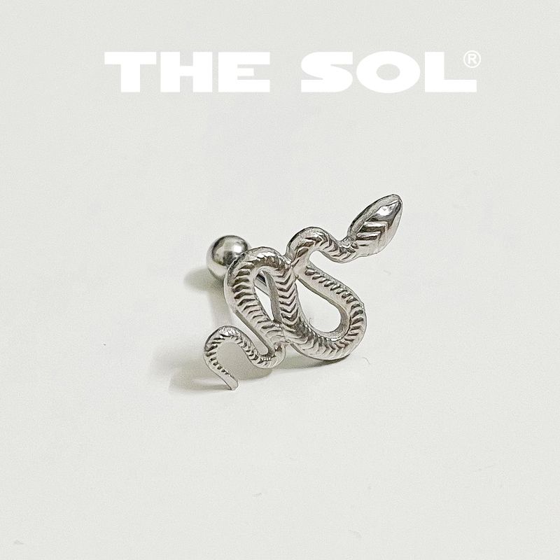 Khuyên Tai Titan Unisex Metal Snake