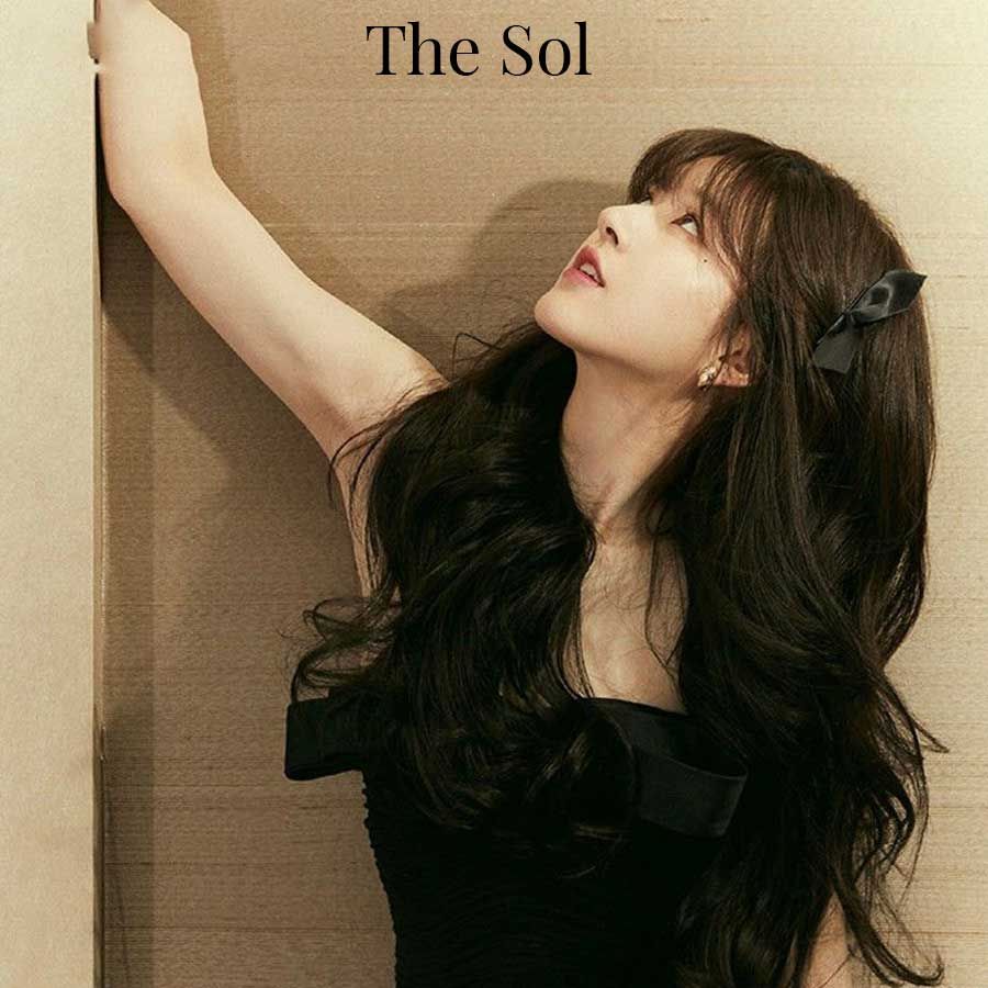 Kẹp Tóc Nơ Đen Lụa Jisoo - 1 Cặp
