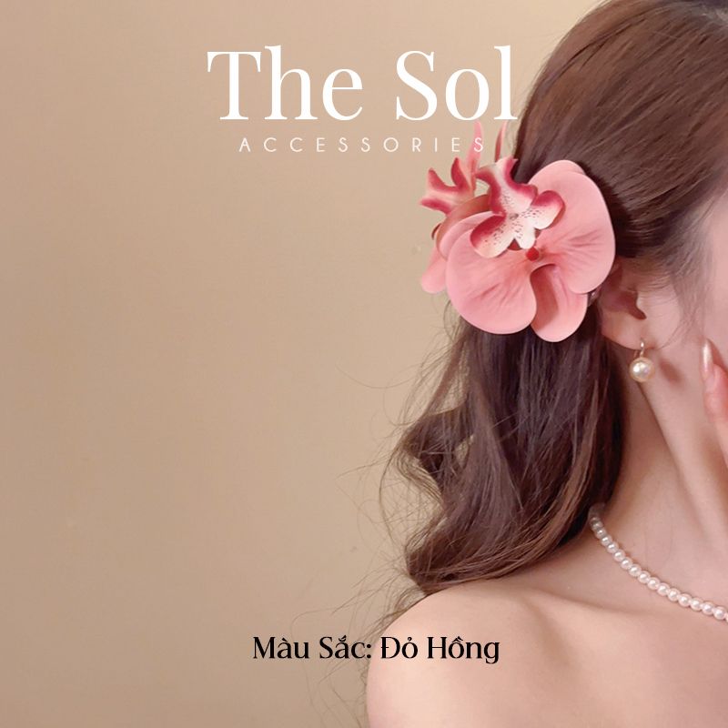Kẹp Mỏ Vịt Hàn Quốc Hoa Phong Lan