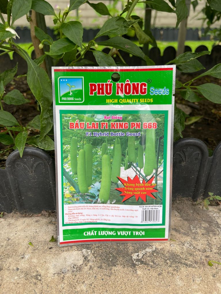 Hạt giống bầu King 668