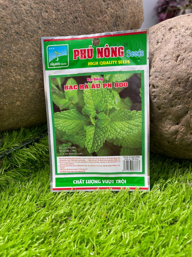 Hạt giống bạc hà âu PN 800