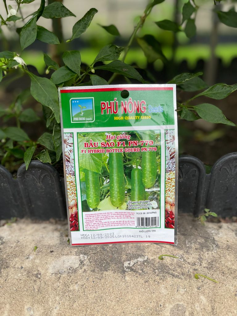Hạt giống bầu sao F1 PN 779