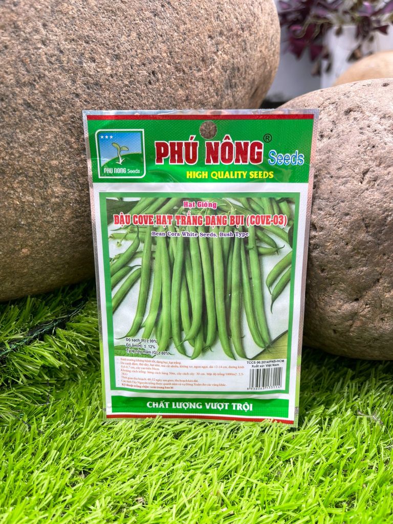 Hạt giống đậu cove trắng bụi PN03
