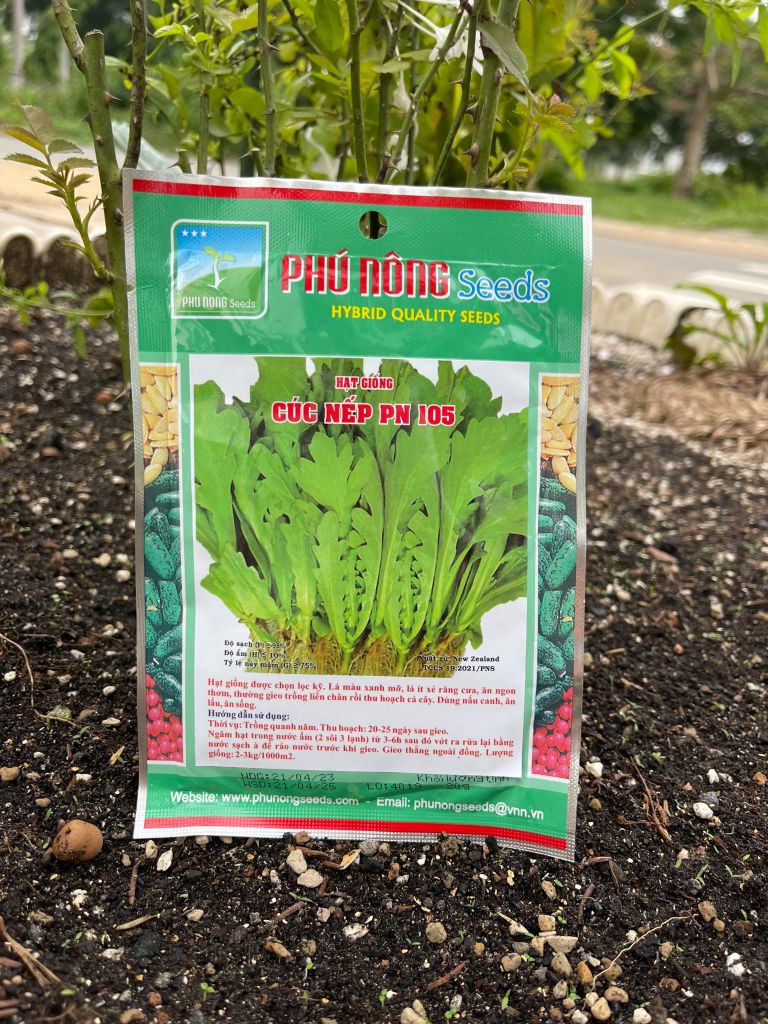Hạt giống rau cúc nếp PN 105