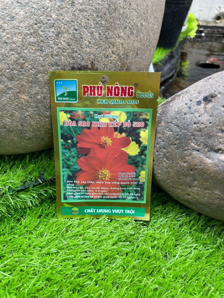 Hạt giống hoa sao nhái kép đỏ 520
