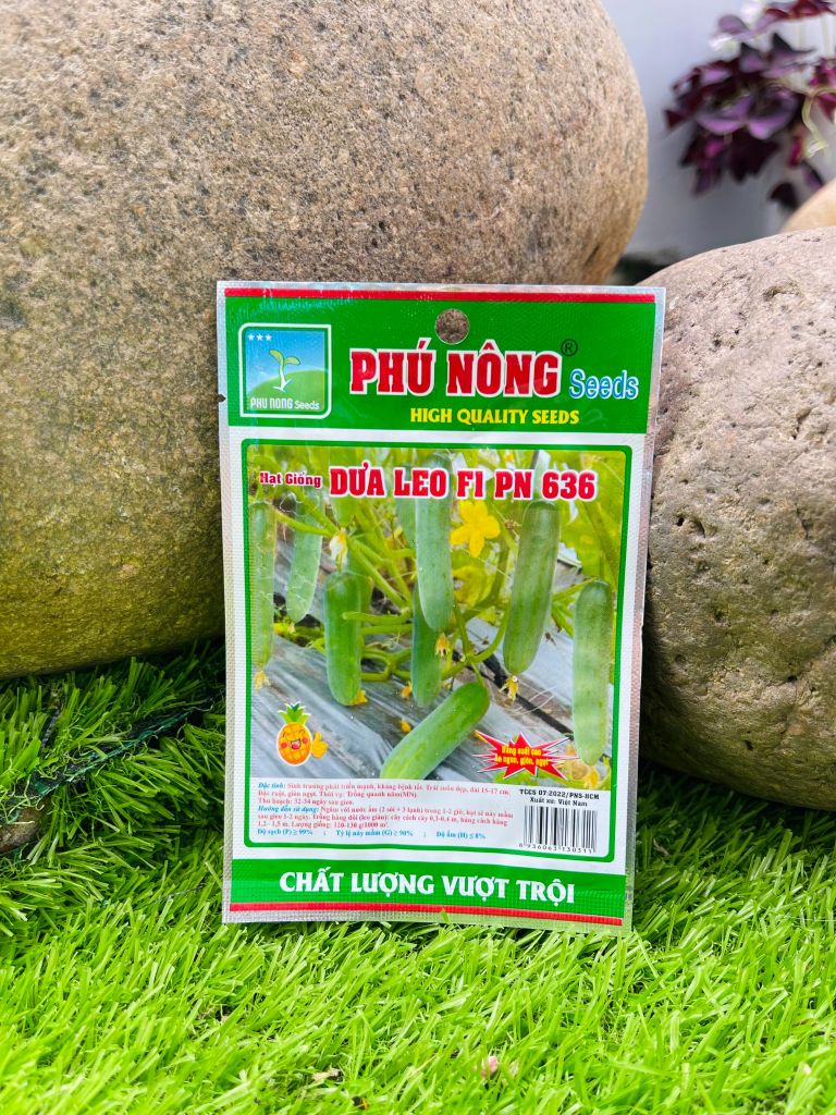 Hạt giống dưa leo PN 636