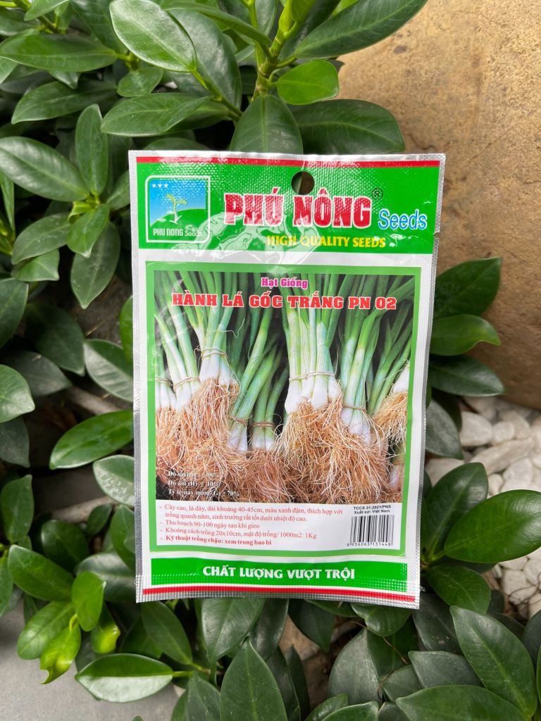 Hạt giống hành lá gốc trắng PN 02
