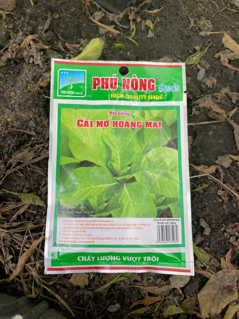 Hạt giống cải mơ Hoàng Mai PN 410