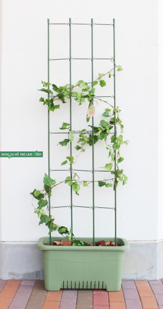 Giàn leo cho cây rộng 45cm cao 180cm Daim