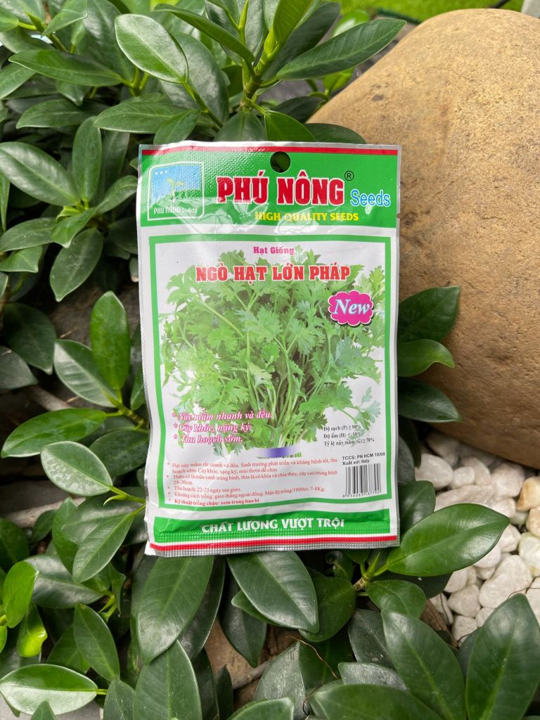 Hạt giống ngò hạt lớn Pháp