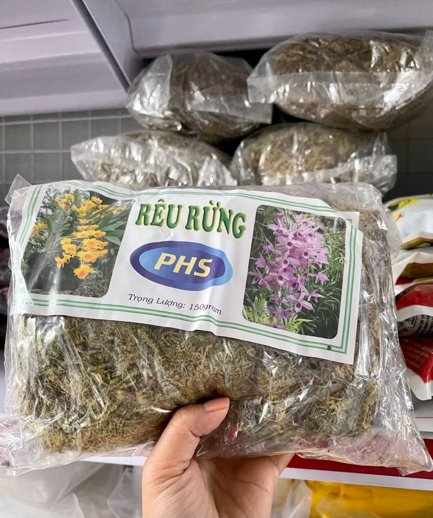 Rêu rừng trồng lan