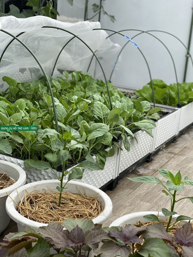 Bộ khung vòm trồng rau Daim cao 90cm rộng 110cm dài 2 met