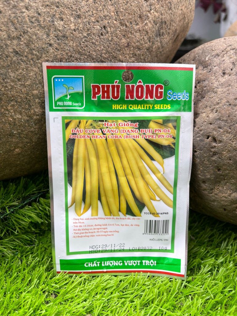 Hạt giống đậu cove vàng dạng bụi PN 04